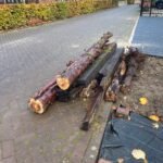Boomstammen en Bielzen ophalen