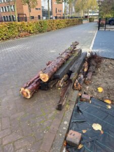 Boomstammen en Bielzen ophalen
