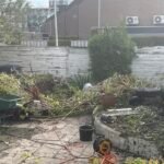 Tuin afval struiken en planten