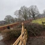 Groen/Snoei afval ophalen in Epe
