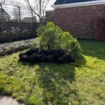 Grotere tuinplanten ophalen in Berkel-Enschot