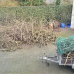 Boomafval ophalen in Axel