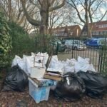 Green/Pruning waste 1m³ ophalen in Rotterdam