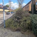 Boomafval ophalen in Almere