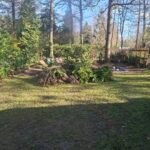 Boomafval ophalen in Epe