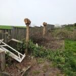 Boomafval ophalen in Bocholtz