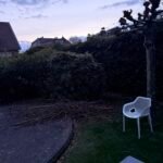 Boomafval ophalen in Bussum