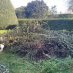 Groen/Snoei afval en Boomafval ophalen in Middelburg