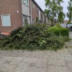 Boomafval ophalen in Zwolle
