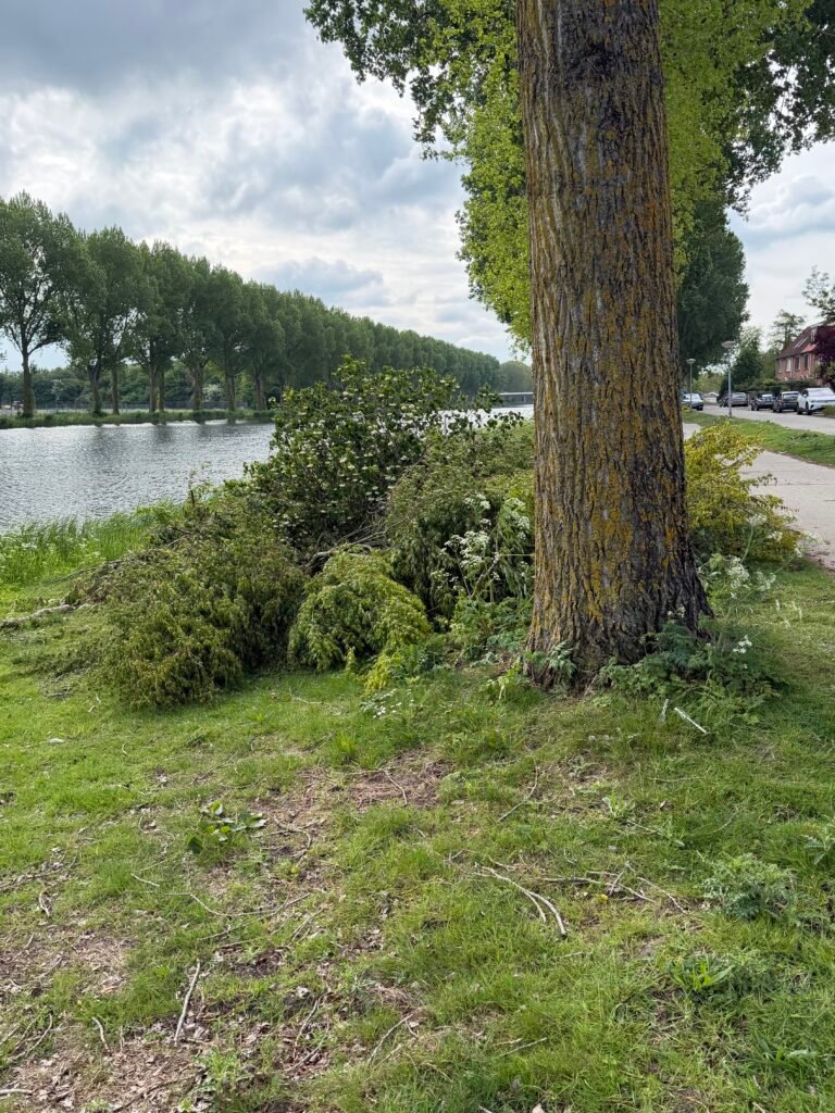 Boomafval ophalen in Almere