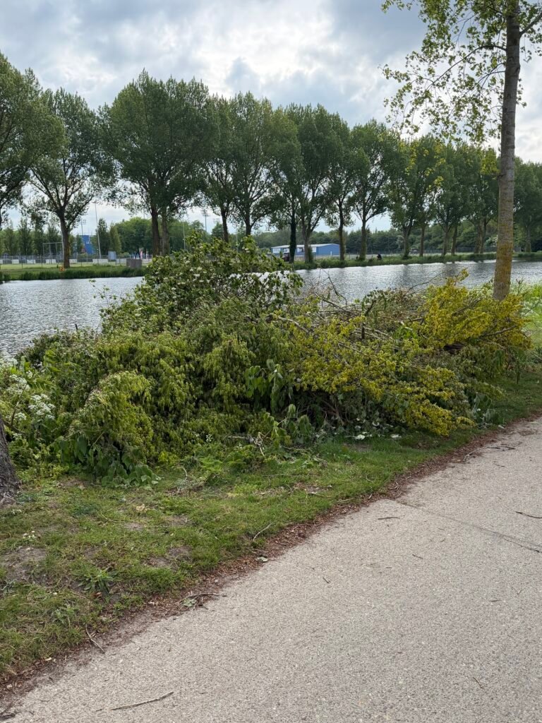Boomafval ophalen in Almere