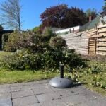 Groen/Snoei afval en Grotere tuinplanten ophalen in Beerta
