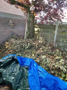 Groen/Snoei afval ophalen in Beuningen