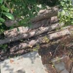 Boomafval ophalen in Heemstede