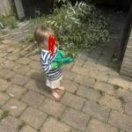 Groen/Snoei afval ophalen in Schagen