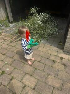 Groen/Snoei afval ophalen in Schagen