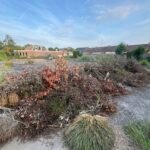 Groen/Snoei afval en Grotere tuinplanten ophalen in Eck en Wiel