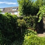 Groen/Snoei afval ophalen in Bergen op Zoom