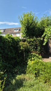Groen/Snoei afval ophalen in Bergen op Zoom