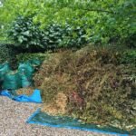 Groen/Snoei afval ophalen in The Hague