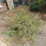 Groen/Snoei afval 1m3 ophalen in Utrecht