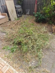 Groen/Snoei afval 1m3 ophalen in Utrecht