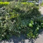 Groen/Snoei afval ophalen in Hoofddorp