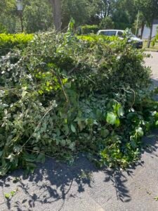 Groen/Snoei afval ophalen in Hoofddorp