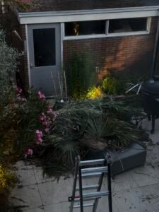 Groen/Snoei afval ophalen in Dordrecht