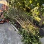Grotere tuinplanten 1m3 en Groen/Snoei afval 1m3 ophalen in Vinkeveen