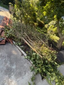 Grotere tuinplanten 1m3 en Groen/Snoei afval 1m3 ophalen in Vinkeveen