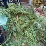 Groen/Snoei afval 1m3 ophalen in Waddinxveen