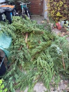 Groen/Snoei afval 1m3 ophalen in Waddinxveen