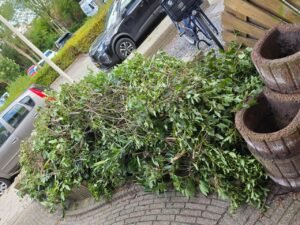 Groen/Snoei afval 1m3 ophalen in Bergen op Zoom