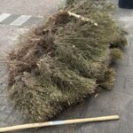 Groen/Snoei afval 1m3 ophalen in Tilburg