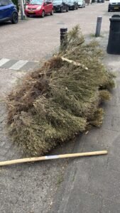 Groen/Snoei afval 1m3 ophalen in Tilburg