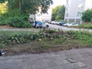 Groen/Snoei afval 1m3 ophalen in IJsselstein