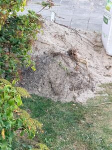 Tuin tegels per m2 en Grond 1m3 ophalen in Zoetermeer