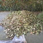 Groen/Snoei afval 1m3 ophalen in Tilburg