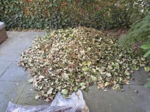 Groen/Snoei afval 1m3 ophalen in Tilburg