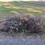 Grotere tuinplanten 1m3 ophalen in Emmen