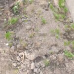 Grond 1m3 ophalen in Barneveld