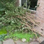 Boomafval 1m3 en Groen/Snoei afval 1m3 ophalen in Amstelveen