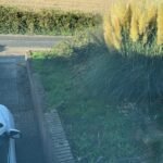 Groen/Snoei afval 1m3 ophalen in Jabeek
