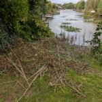Groen/Snoei afval 1m3 ophalen in Emmen