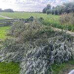 Boomafval ophalen in Breukelen
