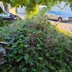 Grond ophalen in Groningen