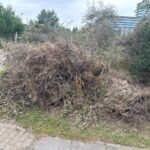 Groen/Snoei afval 1m3 ophalen in Almere