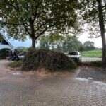Groen/Snoei afval 1m3 ophalen in Zoetermeer