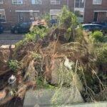 Groen/Snoei afval en Grotere tuinplanten ophalen in Nijmegen